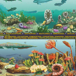 Póster de la planeta Tierra según la norma DIN A1 alemana para entusiastas de la geografía - Product Image 4