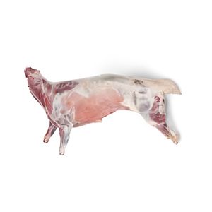 Carne de Cabra Entera Congelada Orgánica a Granel de Canadá con 12 Meses de Vida Útil en Venta - Product Image 2