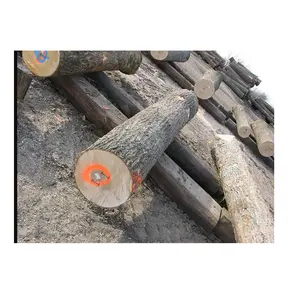 优质批发供应商出售松木硬木圆木