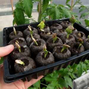 Granulés de fibre de coco écologiques pour l'agriculture et l'hydroponie - Product Image 1