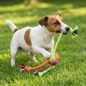 Jouet pour chien indestructible et écologique : Corde à mâcher durable en coton et boule et bâton en laine pour le jeu et les cadeaux - Product Image 6