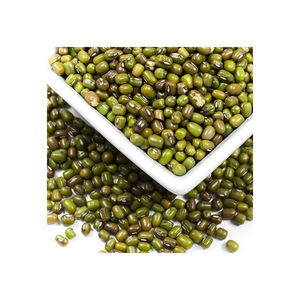 Exportation en gros de haricots mungo, haricots verts de haute qualité, expédition fiable - Product Image 3