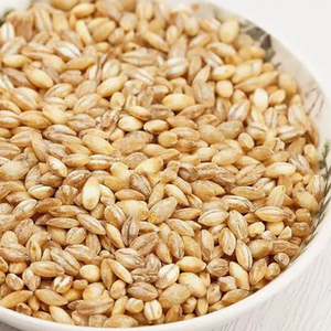 Grano de cebada al por mayor, grano de cebada a granel para supermercados, distribuidores de cebada a granel, suministro de grano de cebada a granel - Product Image 4