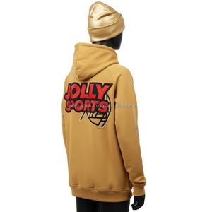 Premium 330 GSM femmes polaire à capuche doux coton Polyester tissu couleur dorée panneau en relief Logo personnalisé basiques pour femmes sweats à capuche - Product Image 5