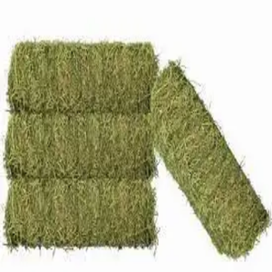 Timothy Alfalfa Hay สำหรับม้าและวัวควายใช้เป็นหญ้าแห้ง - Product Image 1