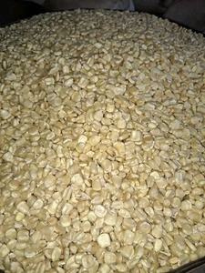 Precio al por mayor Maíz blanco de alta calidad para alimentación animal Proveedor Grado A - Product Image 6