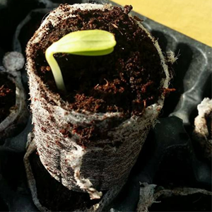 Top vente meilleur prix 100% noyau pur de noix de coco biologique jiffy pour jardin vert fabriqué au vietnam 99GD vietnamien - Product Image 2