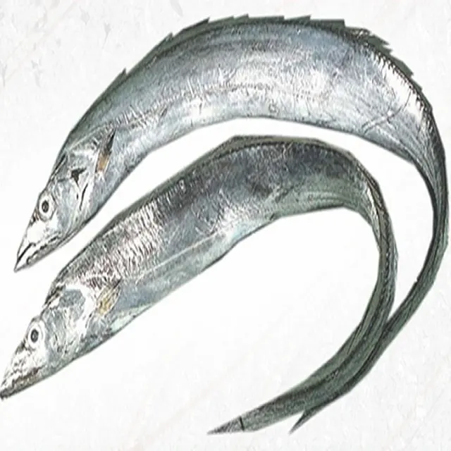 Peixe De Fita Congelada Hairtail Peixe Corte Atacado Fornecedor Fita Peixe