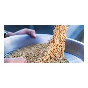 Riz brun souple séché non OGM de qualité supérieure pour les usines alimentaires et les consommateurs soucieux de leur santé – Exportation - Product Image 3