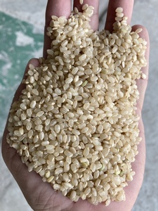 ข้าวสีน้ำตาลทรงกลมข้าวซูชิสีน้ำตาลข้าวพรีเมี่ยมเพื่อสุขภาพส่งออก - Product Image 2