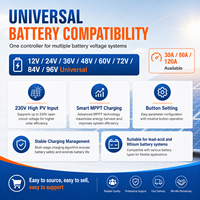 MPPT Solar-Laderegler 30A 60A 120A 230V PV-Eingang 12V-96V Batterie LCD-Display Tastensteuerung OEM ODM Lieferung