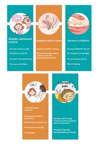 Sistem Perawatan Intim Profesional untuk Pengencangan Vagina, Nyeri Menstruasi & Kesehatan Panggul, Perawatan Intim Komprehensif - Product Image 6