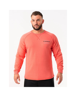 Sweat-shirts à capuche mi-rose en gros, haute qualité, 100% coton, impression en relief, coupe classique, streetwear, logo personnalisé, sweat-shirts pour hommes - Product Image 1
