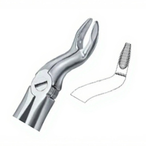 Forceps d'extraction de dents Fig57 B meilleure qualité logo personnalisé produits Instruments dentaires en acier inoxydable - Product Image 1