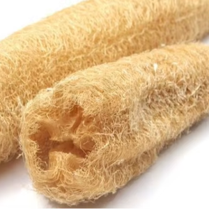 Lufa orgánica al mejor precio, exfoliación natural y sostenible de VIET FARGIMEX - Product Image 4