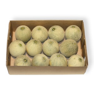 Cantalupo fresco dulce y jugoso Cantalupo fresco a granel para un sabor refrescante saludable y un excelente precio al por mayor - Product Image 1