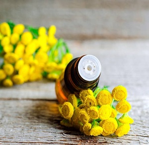 Huile essentielle biologique, pure et naturelle de Costmary pour l'aromathérapie, le massage, les cheveux et la peau | Fabricant et exportateur de gros en vrac - Product Image 1