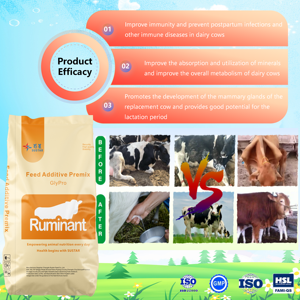 Prémélange minéral vitaminé pour additifs d'alimentation pour animaux <span class=keywords><strong>de</strong></span> vache <span class=keywords><strong>de</strong></span> remplacement Prémélange <span class=keywords><strong>de</strong></span> vache <span class=keywords><strong>de</strong></span> remplacement <span class=keywords><strong>Meilleur</strong></span> prix Prémélange <span class=keywords><strong>de</strong></span> vache - Product Image 3