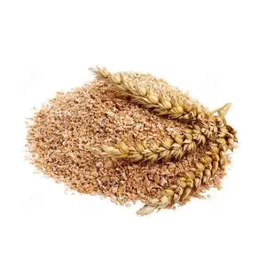 Son de blé de qualité pour l'alimentation animale/granulés de son de blé protéines de qualité alimentaire