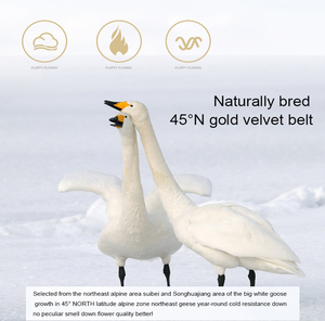 Cuscini in piuma <span class=keywords><strong>d</strong></span>'<span class=keywords><strong>oca</strong></span> bianca di lusso a prova di <span class=keywords><strong>piumino</strong></span> King Queen 100% cotone cuscino rettangolare in stile 3D per te regalo amante - Product Image 2