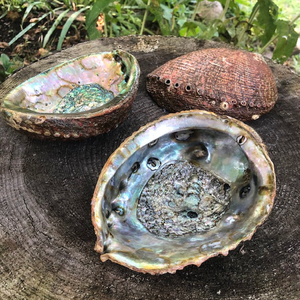 ชามเผาหอยเป๋าฮื้อขนาดใหญ่เปลือกหอยเครื่องหอมมาตรฐาน - Product Image 5