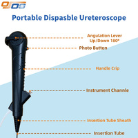 6.3Fr 7.5Fr 2.75mm 2.85mm Ureteroscope Endoscope numérique Endoscope à grand angle de flexion pour vétérinaire