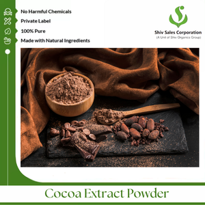 Extrait de cacao de qualité supérieure avec un goût de cacao authentique pour les acheteurs du marché international dans les industries des boissons, de la boulangerie et de la confiserie - Product Image 4