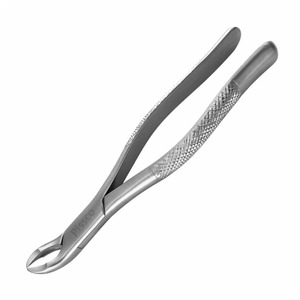 Pinzas de Extracción Dental 51A, Patrón Inglés, Pinzas Quirúrgicas Dentales, Instrumentos de Acero Inoxidable - Product Image 6