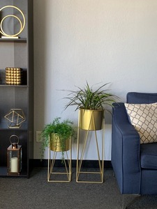 Jardinera de metal negro minimalista moderna pesada de servicio con soporte para sala de estar, oficina y decoración de patio a un precio asequible - Product Image 3