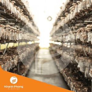 Film de serre agricole pour la culture des champignons conçu pour l'isolation thermique et le contrôle stable de la température au Vietnam - Product Image 3