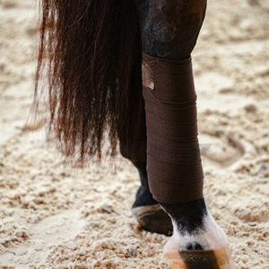 Envolturas de polo de caballo elásticas fuertes para entrenamiento Ejercicio Soporte de lesiones y protección diaria Envolturas de polo de equitación/vendajes - Product Image 6
