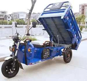 플라스틱 앞 유리 팁 150cc 200cc 모토화물 세발 자전거 장안 중국산 전기 장갑 차량