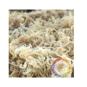 สาหร่าย Eucheuma cottonii แบบแห้งแดดธรรมชาติส่งออกจากโรงงานที่เชื่อถือได้ - Product Image 2
