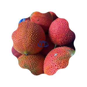 BEST QUALITY FROZEN GAC MOMORDICA FRUIT and DRIED GAC MOMORDICA FRUIT FROZEN FRUIT WHOLESALE FROM BLUE LOTUS FARM VIETNAM - Product Image 1