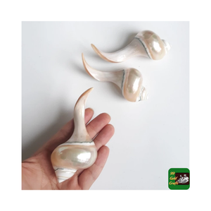 Artesanía de Vietnam, palillos de concha de nácar, resto de cuchara de lujo para comida, restaurante, decoración del hogar - Product Image 4