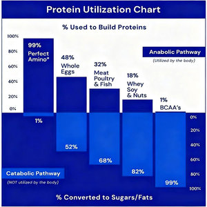 Private Label Essentiële Aminozuren Supplement Met Bcaa Voor Pre/Post Workout En Spier - Product Image 4