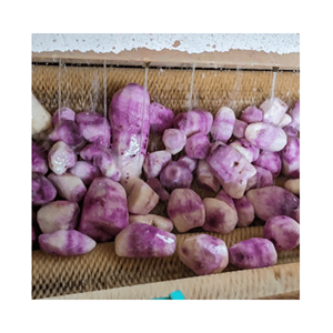 Rodajas de Ñame Congeladas de Vietnam, Piezas de Tubérculo Amarillo Premium para Asar, Guarniciones de Cocción Rápida y Comidas Sabrosas - Product Image 2