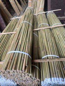 Mejor precio, venta completa, 100%, poste de bambú, materia prima, origen de Vietnam, marca Fortune, diámetro y longitud - Product Image 6