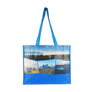 Bolsa de Compras de Tela No Tejida con Asas de Cinta de Polipropileno, Patrón y Tamaño Personalizables (Mediano/Grande) - Product Image 2