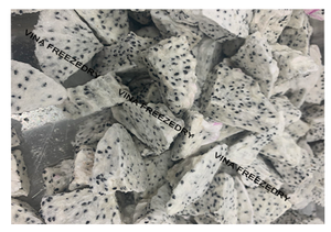 ผลไม้มังกรขาวเนื้อขาวออร์แกนิกแช่แข็งแห้งจากเวียดนาม - Product Image 6