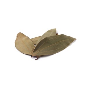 [KEITH VILACONIC] BONNES ÉCORCES DE CASSIA/CANNELLE NATURELLES SÉCHÉES AVEC UNE QUALITÉ DE HAUT NIVEAU À DES PRIX COMPÉTITIFS À L'EXPORTATION - Product Image 2
