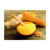 Amidon de maïs de haute qualité/amidon de tapioca Farine de maïs sans gluten Amidon pour la qualité alimentaire