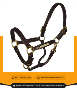Prêt à expédier licou de cheval rembourré en cuir véritable licou en cuir rembourré avec plaque signalétique portable - Product Image 3