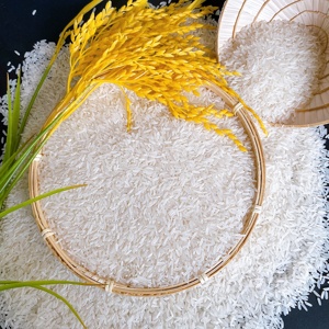 Riz vietnamien au jasmin Riz blanc dur parfumé à grain long de qualité supérieure 5% cassé Meilleur prix séché HACCP certifié ISO - Product Image 2