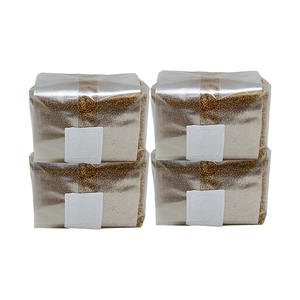 Sacs de culture de champignons à grains de <span class=keywords><strong>millet</strong></span> bio résistants aux hautes températures Patch filtrant de 0.2 microns stérilisé en plastique champignon - Product Image 1