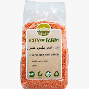 Lentilles Rouges Biologiques en Gros : Stock Disponible de Lentilles Rouges Concassées en Vrac - Product Image 1