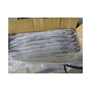 Suministro a granel de atún congelado al por mayor a precio económico, pescado fresco y de primera calidad - Product Image 4