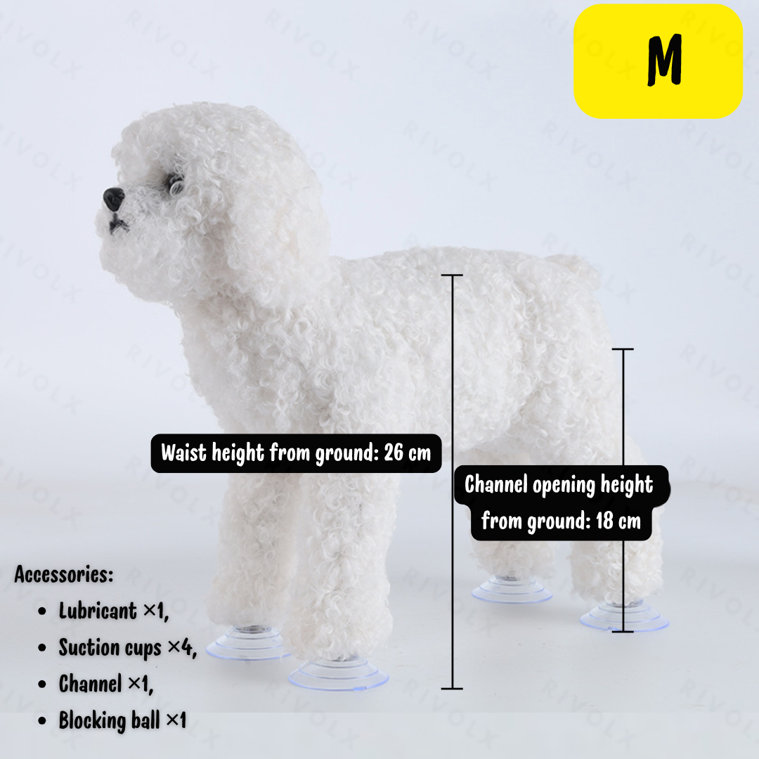 Caniche blanc (caniche jouet) M