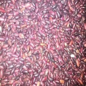 Wholesale Supplier Red Kidney <b>Beans</b> Bulk 100% Natural High Protein Brazilian 50kg At Reasonable Price For Sale - Product Image 3