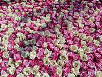 Tapis floral rose pour allée royale de mariage, toile de fond murale pour événement d'anniversaire, panneaux de scène de réception, décoration de mariage en destination
